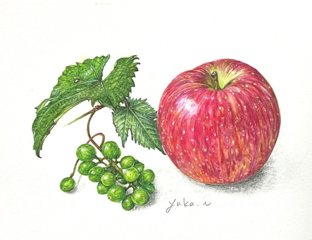 antique ドイツの果実学 リンゴ 植物画　豪華目額装 2025グリーンピア春日井植物画教室作品展 | 私流の植物画