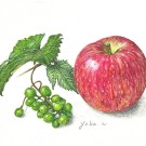 リンゴとデラウェア,飯沼由香