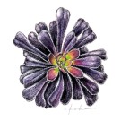 黒法師, 小池昇司,