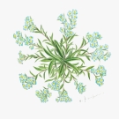 32f970975d54a62138f20120d2c16b5a