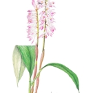 3450b739ce9b2de617057d8c00c1f299