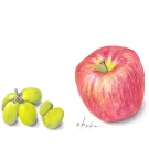 リンゴ,マスカット,小池昇司