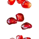 ザクロ,小池昇司