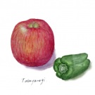 高柳早苗：ピーマンとリンゴ