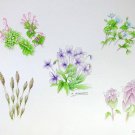 春の草：吉本一彦