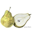 ラフランス,原田敬子