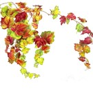 紅葉,ツタ, 伊藤みゆき