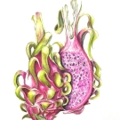 パッションフルーツ,大原陽子