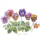 パンジー,大原陽子